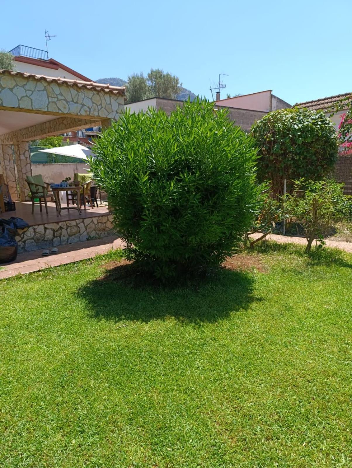 Casa In Giardino A Pochi Passi Dal Mare Vila Palermo Exterior foto